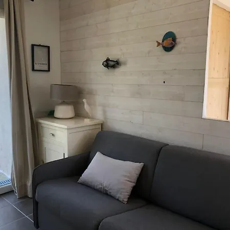 Petite Maison Chaleureuse Avec Piscine Dolus-d'Oléron Exterior photo